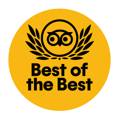 School Travel Awards winners logo